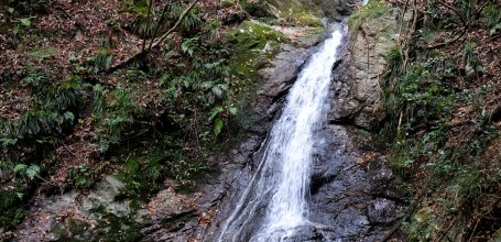 Yoshino Forest Therapy, Ryumon Fall