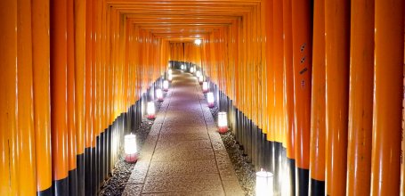 Fushimi Inari Taisha (Kyoto), Torii gate tunnel lit up by lanterns at night during the Motomiya-sai festival 2