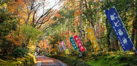Sekizan Zen-in (Kyoto), Maple trees alley