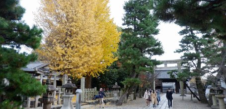 Gokonomiya-jinja (Kyoto), Paved alley of the shrine in autumn