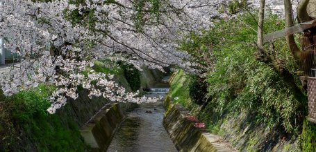 Lake Biwa Yamashina Canal (Kyoto), Ansho-ji river