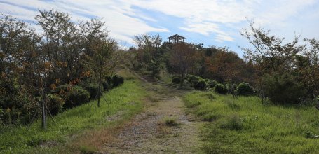 Takozushiyama (Wakayama), Walking trail to the top of the mountain