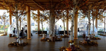 Hiroshima Orizuru Tower, Observation platform with autumn decoration