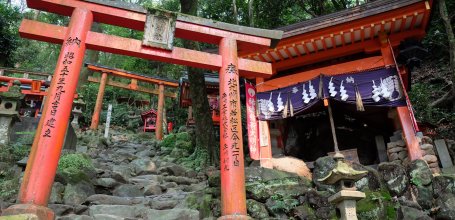 Yutoku Inari-jinja (Kashima, Saga), Red torii gates in the Okunoin area 2