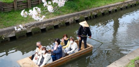 Shingashi-gawa (Kawagoe), Boat cruise on the river during the sakura season 3