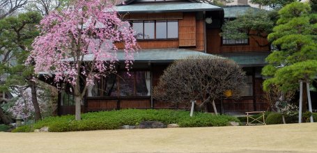 Happo-en (Tokyo), Blooming cherry trees in front of Kochuan, a restaurant with traditional architecture
