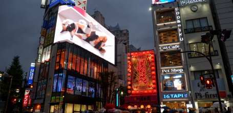 Shinjuku Giant 3D Cat at nightfall
