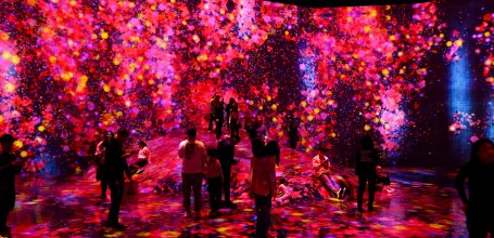 teamLab Borderless (Azabudai Hills, Tokyo), Universe of Water Particles on a Rock where People Gather 2