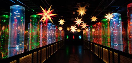 Art Aquarium Museum GINZA (Tokyo), Goldfish Corridor