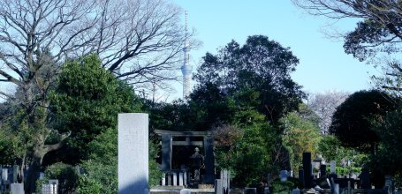 Yanaka Cemetery (Tokyo), View on the Tokyo SkyTree