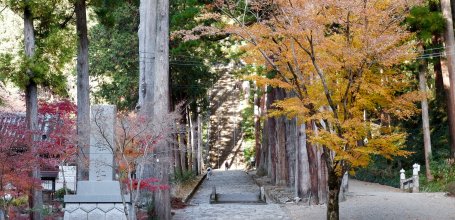 Kuon-ji (Minobu), Bodaitei stairway in the temple's grounds