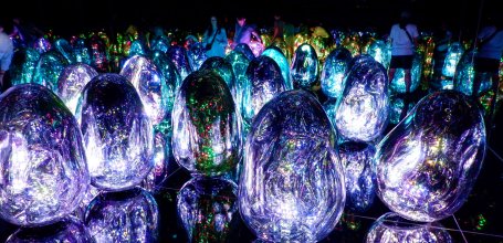 teamLab Biovortex Kyoto, Resonating Microcosms - Solidified Light