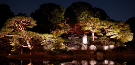 Autumn Illuminations in Rikugi-en (Tokyo), Night view of the Japanese garden around the main pond