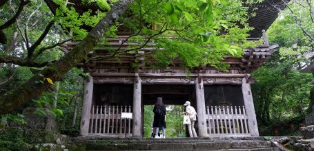 Chikurinji Kochi 05