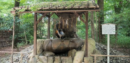 Tadasu no Mori (Kyoto), Tarumi fountain in the forest