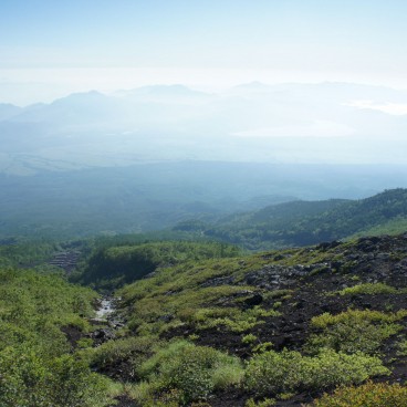 Vegetation on Mount Fuji