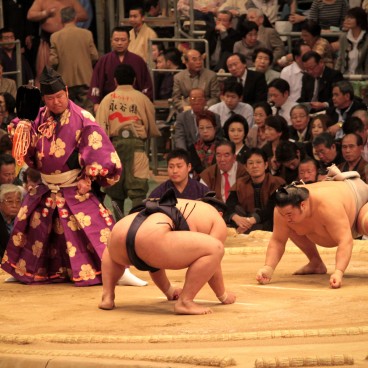 Sumo tournament in Osaka