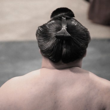 Sumo tournament in Osaka, Detail of a wrestler's hair