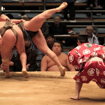 Sumo tournament in Osaka, Sumo bout