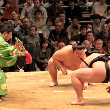 Sumo tournament in Osaka, Wrestlers preparing for a bout 4
