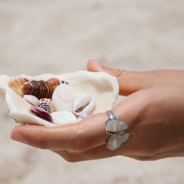 Zamami Island (Okinawa), Shells from the beach
