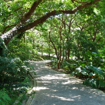 Shurijo Castle Park (in 2009) 2