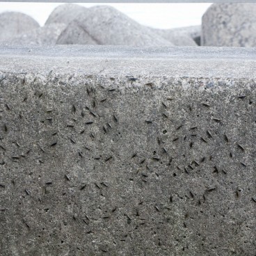 Beppu (Oita), Harbor area 3