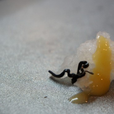 best-sushi-restaurant-7