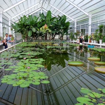 Jigoku Meguri in Beppu, Tropical Greenhouse and water lilies