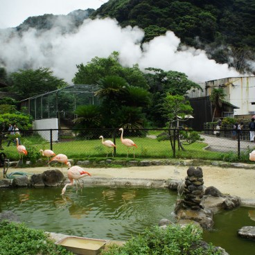 Jigoku Meguri in Beppu, The zoo in Yama-jigoku