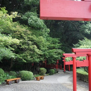 Jigoku Meguri in Beppu, A torii gates path