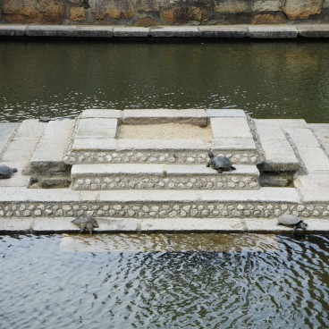 Shitenno-ji (Osaka), Turtles