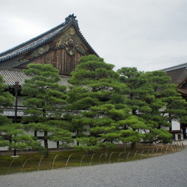 Nijo Castle (Kyoto), View on Ninomaru Palace 2