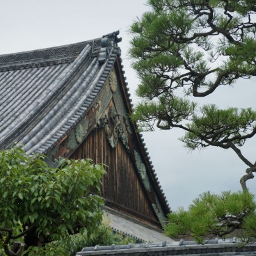 Nijo Castle (Kyoto), View on Ninomaru Palace 3