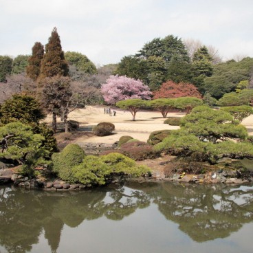 Shinjuku Gyoen (Tokyo), View on the Japanese garden and the first blooming at the end of winter