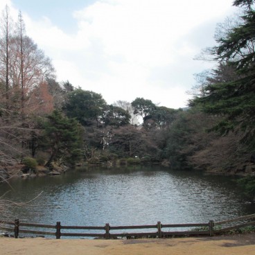Shinjuku Gyoen (Tokyo), View on the Japanese garden and first flowers at the end of winter