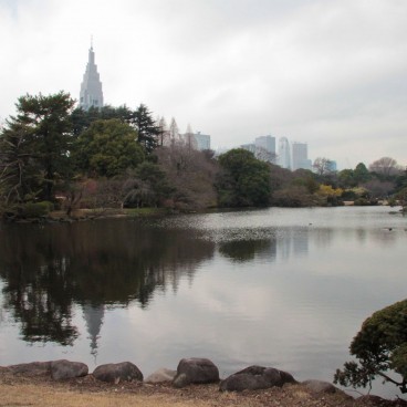 Shinjuku Gyoen (Tokyo), View on the garden and the surrounding buildings