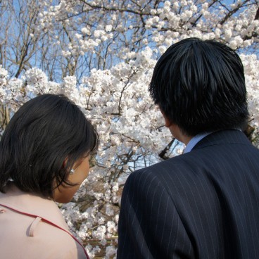 Shinjuku Gyoen (Tokyo), A couple watching cherry blossoms in spring