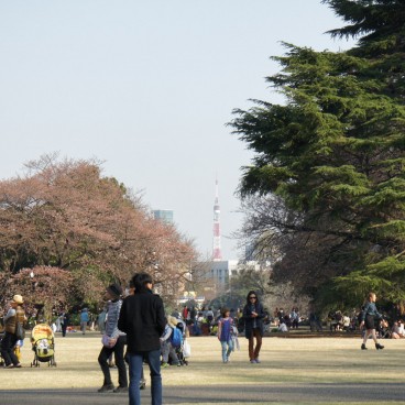 Shinjuku Gyoen (Tokyo), View on the Japanese garden at the end of winter 4