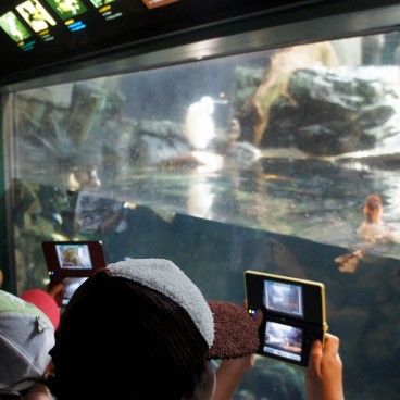 Kaiyukan Aquarium (Osaka), Visitors taking pictures with their DS consoles