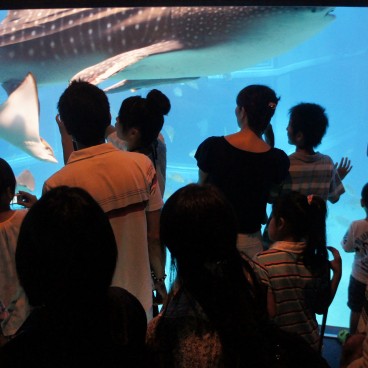 Kaiyukan Aquarium (Osaka), Visitors