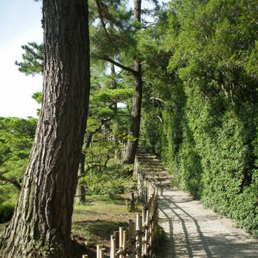Ritsurin Koen (Takamatsu), Walking path lined with pine trees