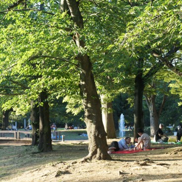 Yoyogi Park in Tokyo, People enjoying the shade of trees in summer