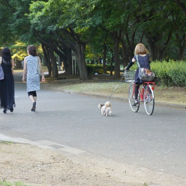 Yoyogi Park in Tokyo, People walking and cycling