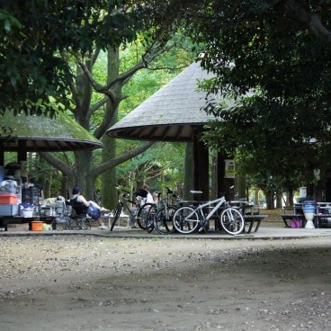 Yoyogi Park in Tokyo, Homeless people temporary camp