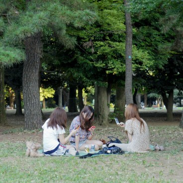 Yoyogi Park in Tokyo, Women enjoying a picnic with their smartphones