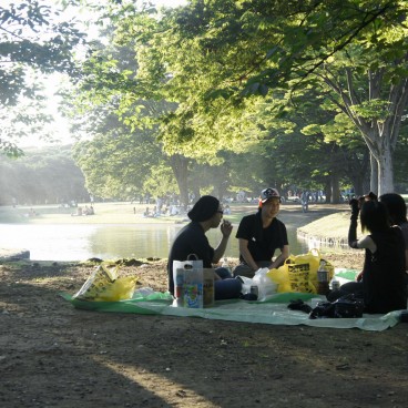 Yoyogi Park in Tokyo, Japanese people enjoying a picnic under the shade of a tree