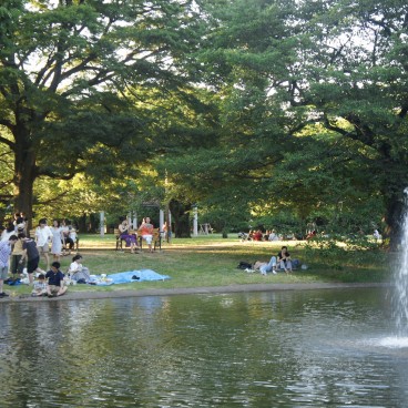 Yoyogi Park in Tokyo, People enjoying the shade of trees and pond in summer 2