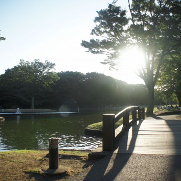 Yoyogi Park in Tokyo, Wooden bridge crossing a pond