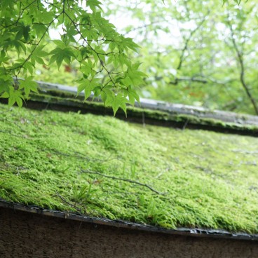 Mount Kurama, Detail of a roof